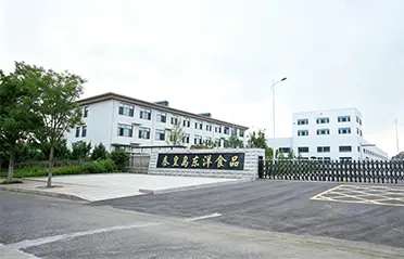 250 miljoni RMB investeeringu ja 40 000 ㎡ tehasega on Dongyang Foods loonud tugeva aluse kvaliteetse kiirnuudli tootmisele.