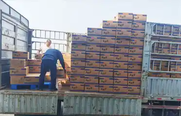 Mitu kontrollpunkti peab Mala Tangi (vürtsikas kuuma potti) nuudlipannkook läbima enne, kui see Shenyangis veoautole laaditakse?